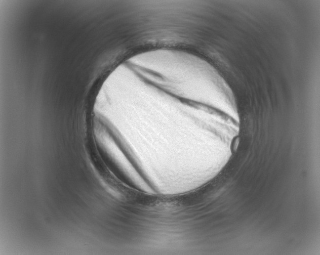 X0000068720638200605192254
