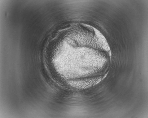 X0000068720643200605192254