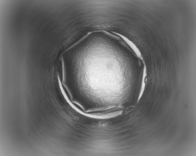 X0000068720647200605192254