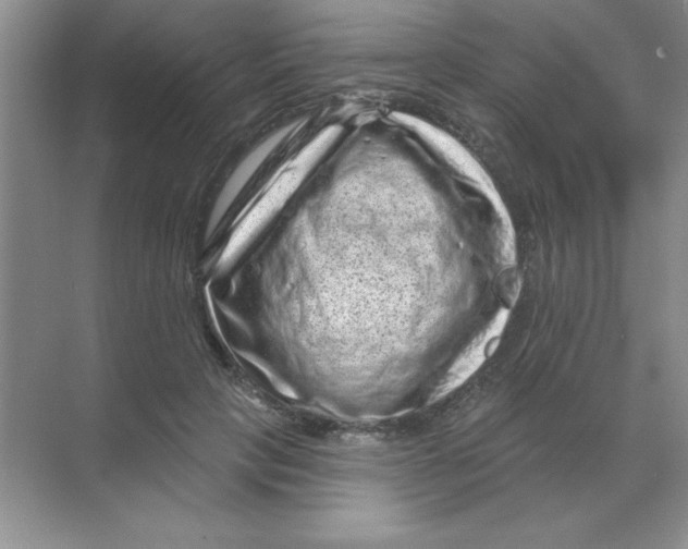 X0000068720649200605192254