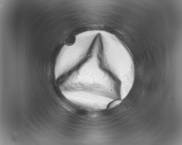 X0000068720662200605192254
