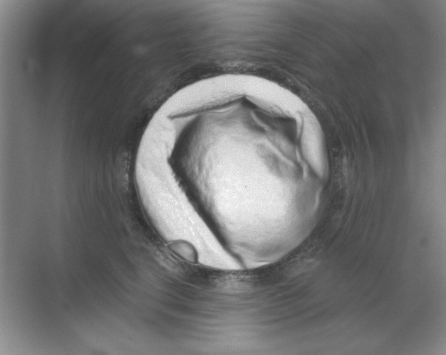 X0000068720664200605192254