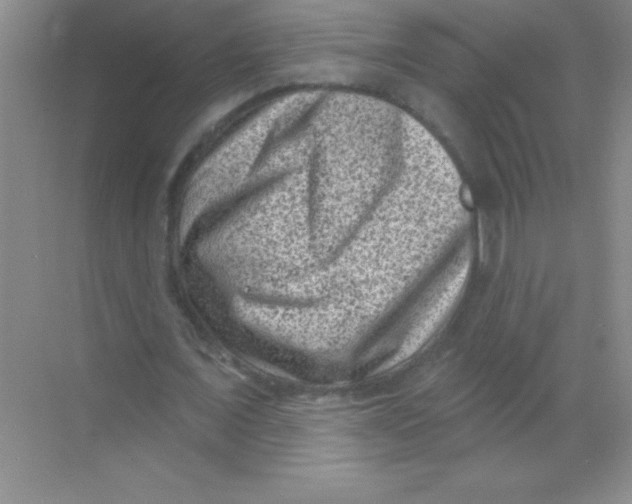 X0000068720675200605192254