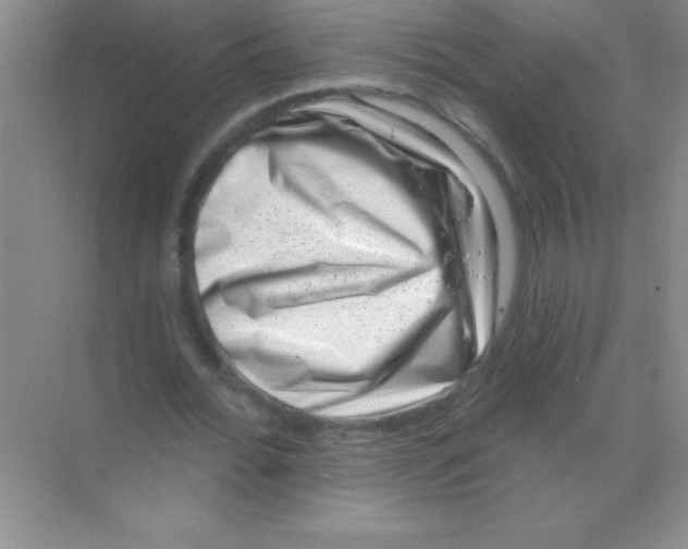 X0000068720676200605192254