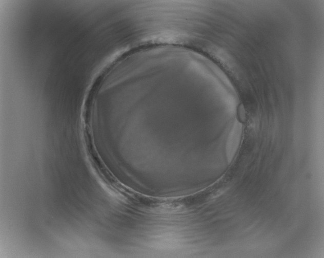 X0000068720678200605192254