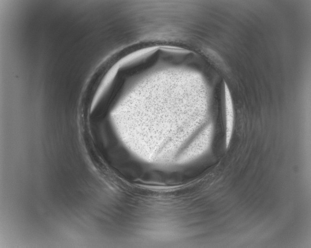 X0000068720680200605192254
