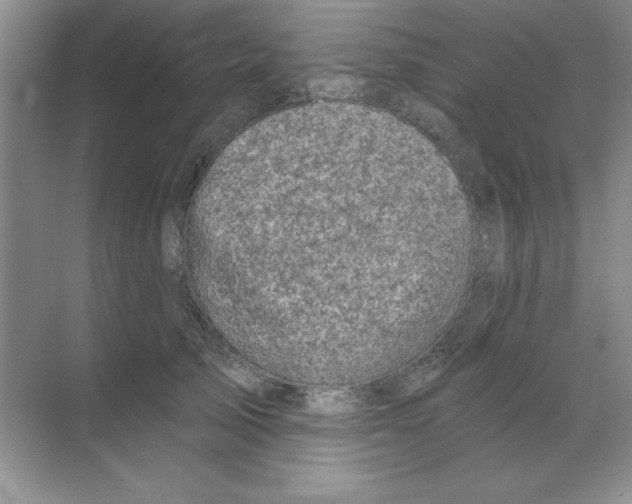 X0000068720705200605192253