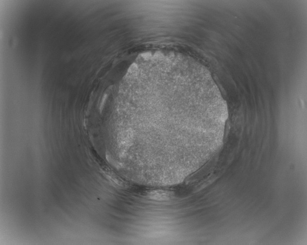 X0000068720708200605192253