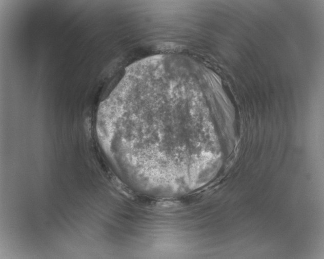 X0000068720716200605192253
