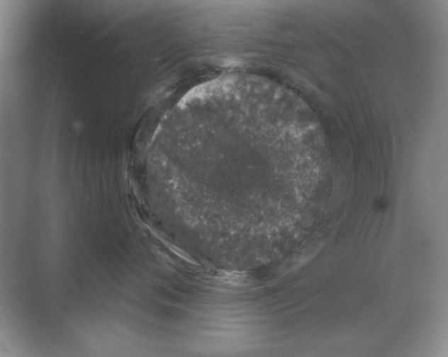X0000068720720200605192253