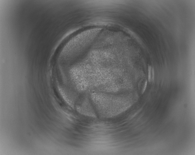 X0000068720723200605192252