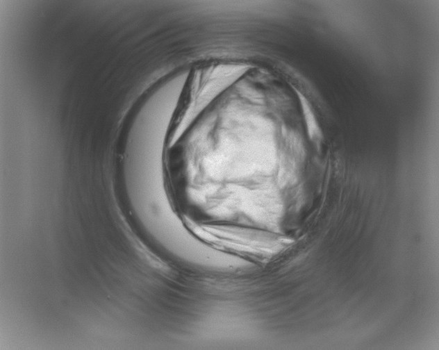 X0000068720725200605192252