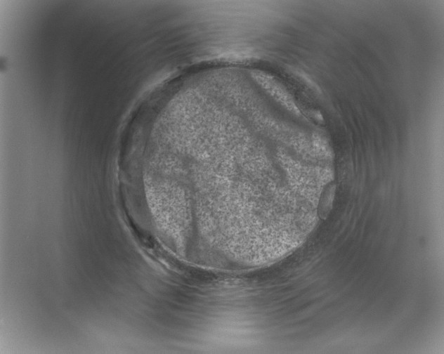 X0000068720736200605192252