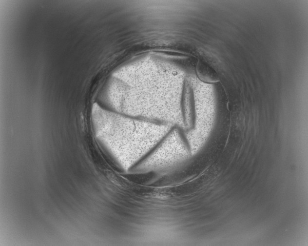 X0000068720743200605192253