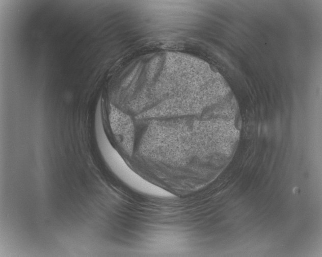 X0000068720748200605192253