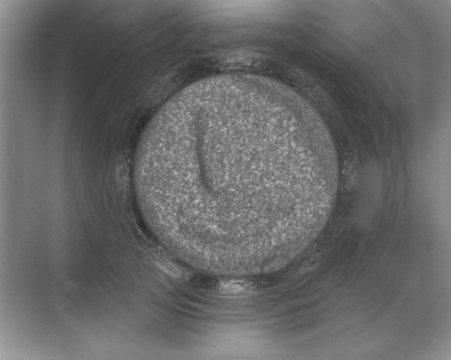 X0000068720753200605192253