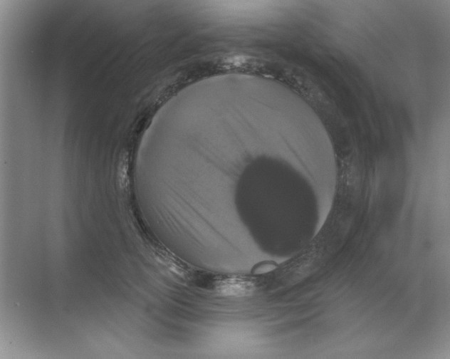 X0000068720754200605192253
