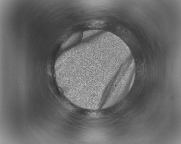 X0000068720755200605192253