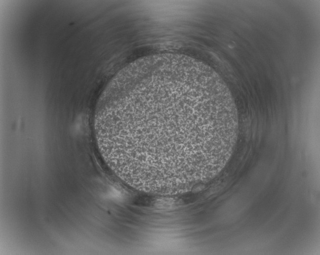 X0000068720757200605192253