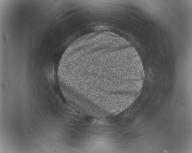 X0000068720763200605192253