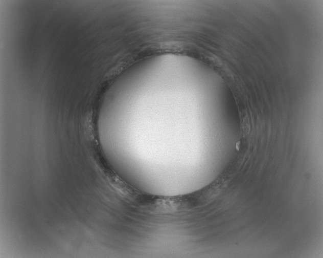 X0000068720764200605192253