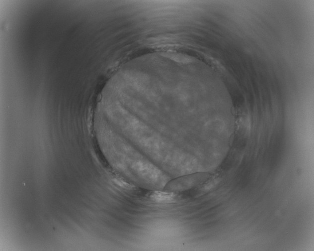 X0000068720767200605192253