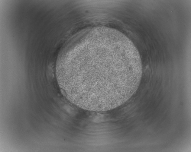 X0000068720772200605192252