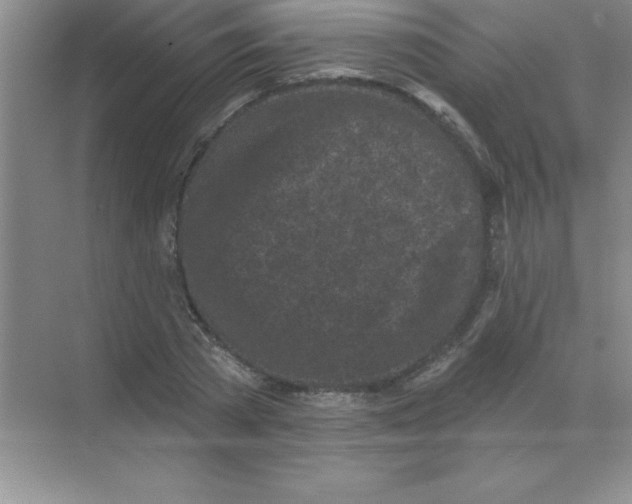 X0000068720785200605192252