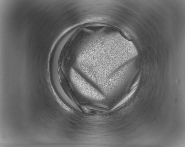 X0000068720792200605192252