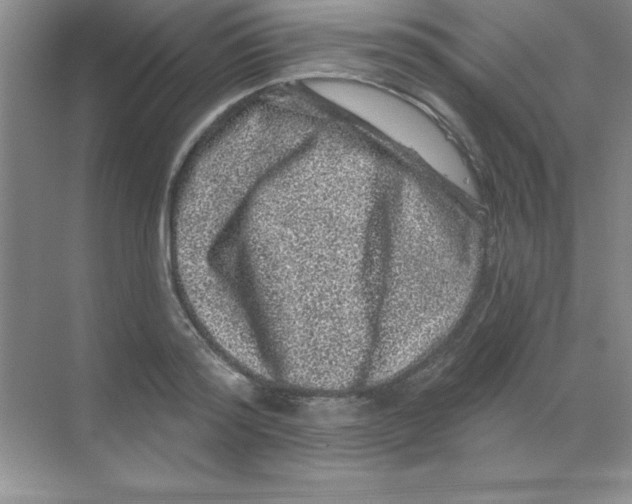 X0000068720796200605192252