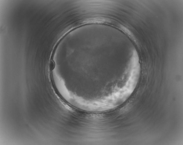 X0000068720802200605192252