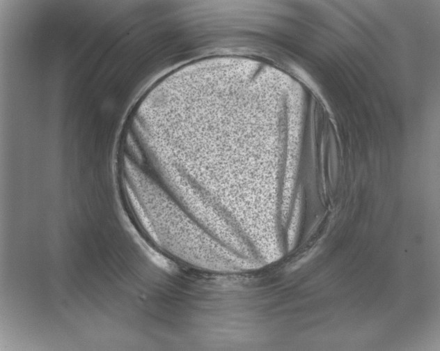 X0000068720803200605192252