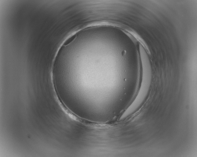 X0000068720813200605192251