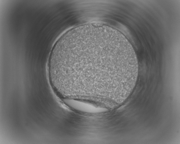 X0000068720814200605192251