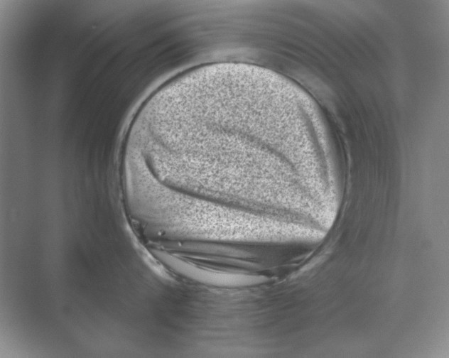 X0000068720816200605192251