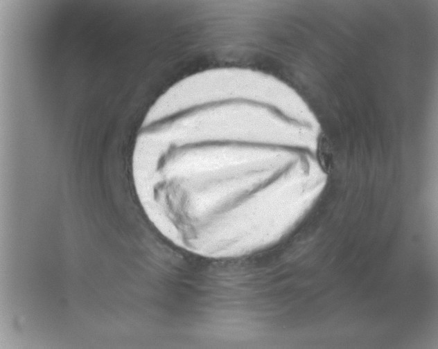 X0000068720817200605192251