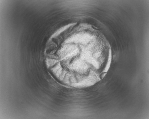 X0000068720819200605192251