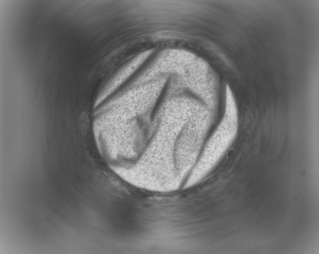 X0000068720821200605192251