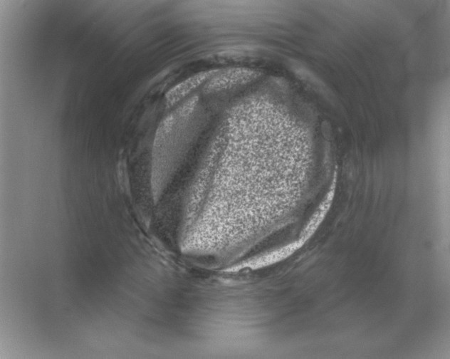 X0000068720822200605192251