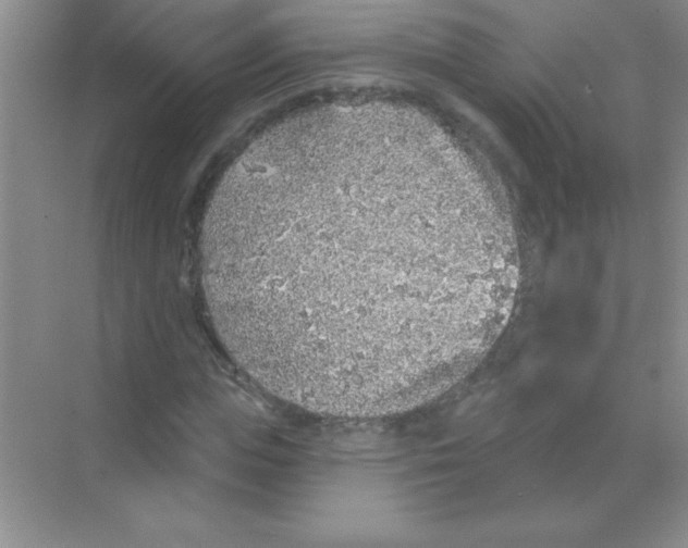 X0000068720823200605192251