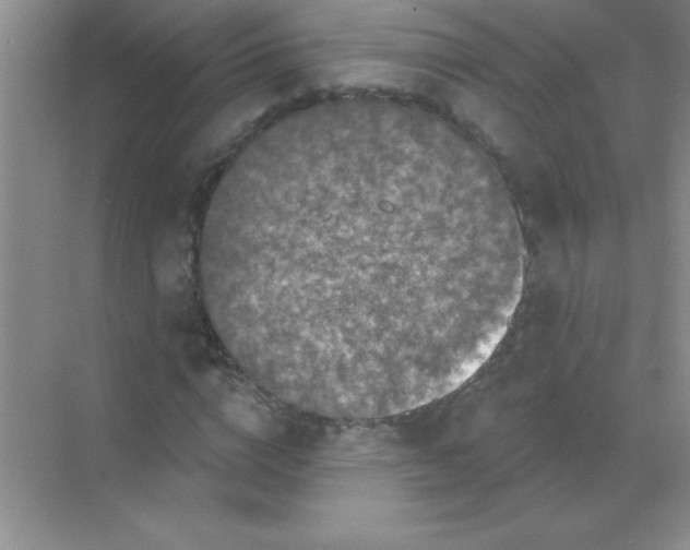 X0000068720824200605192251