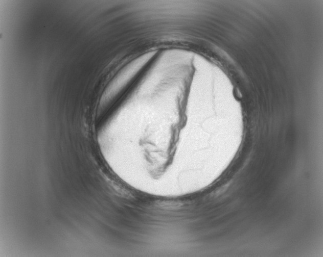 X0000068720825200605192251