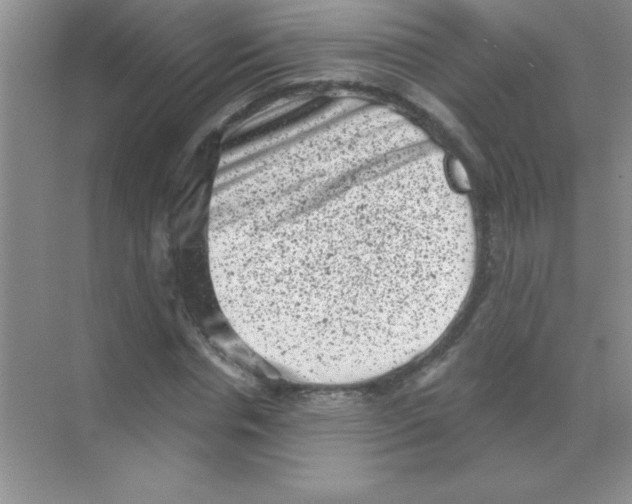 X0000068720826200605192251