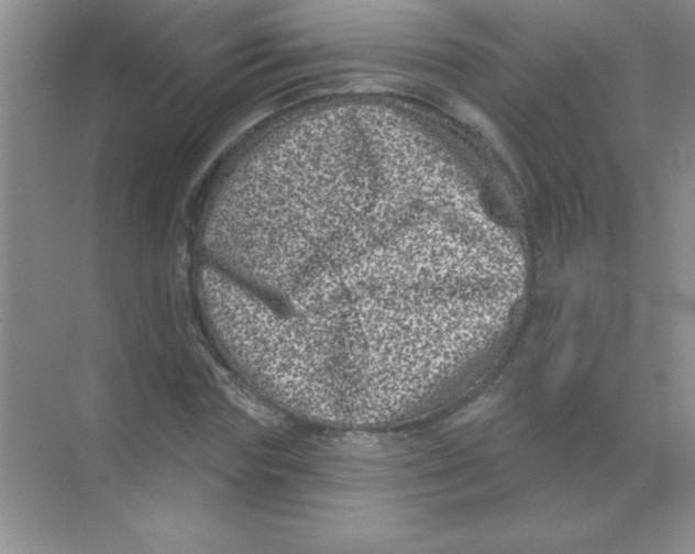 X0000068720827200605192251