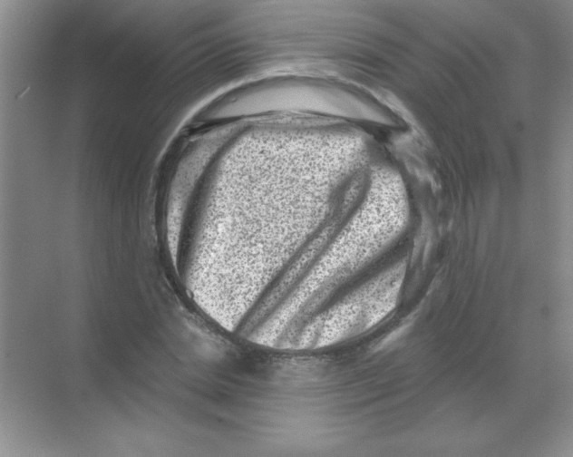 X0000068720830200605192251