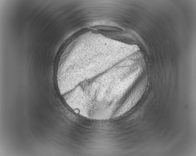 X0000068720831200605192251