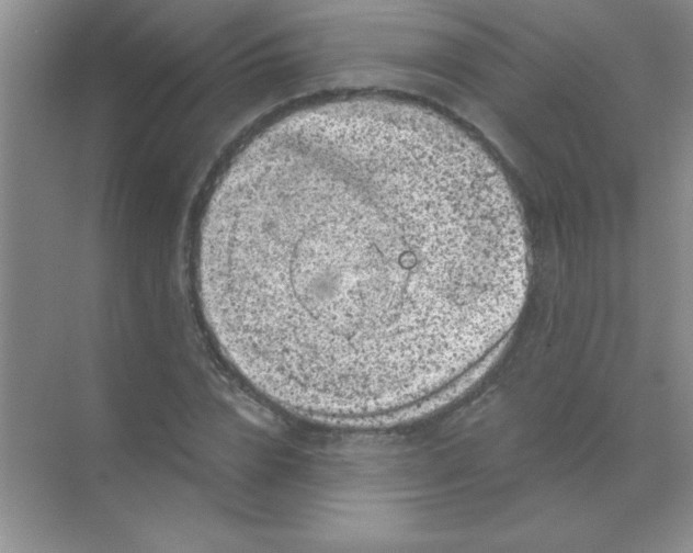 X0000068720832200605192251