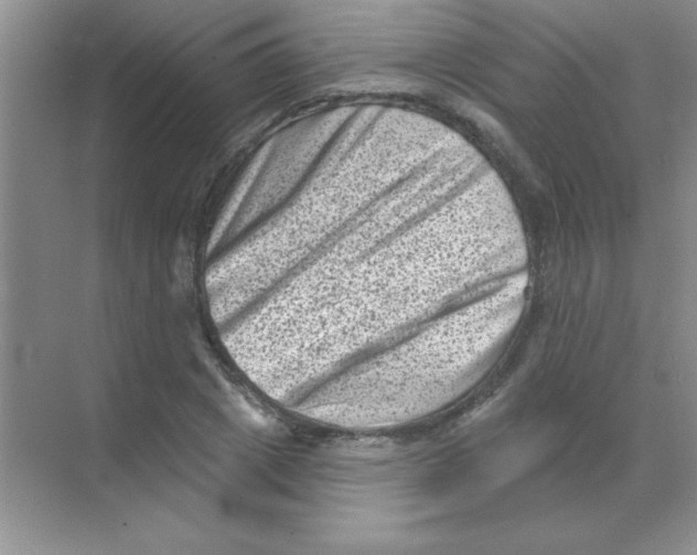 X0000068720833200605192251