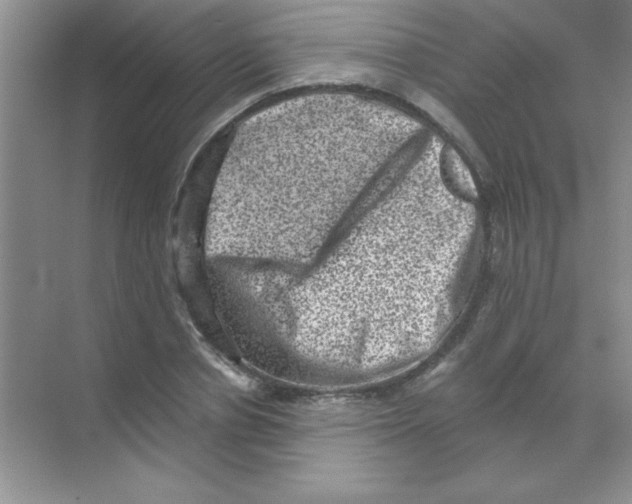 X0000068720834200605192251