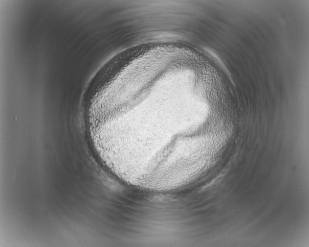 X0000068720835200605192251